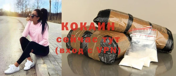 спайс Каменка