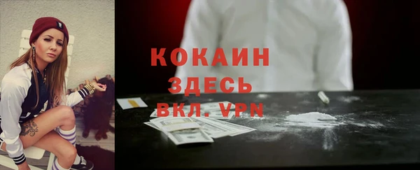 спайс Каменка