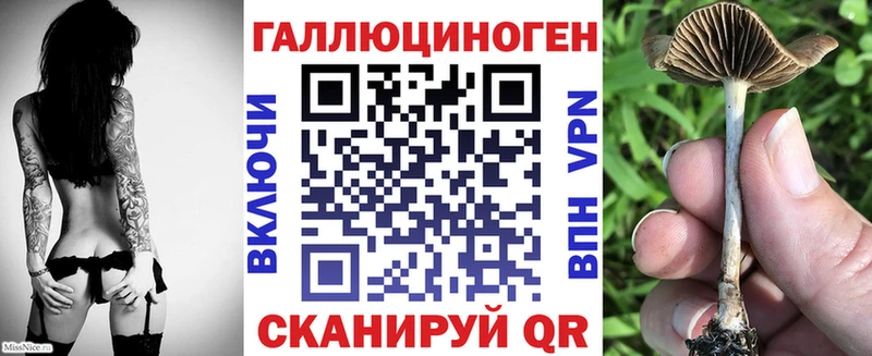 Галлюциногенные грибы MAGIC MUSHROOMS  Камышлов 