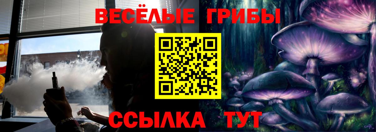 Псилоцибиновые грибы Cubensis  Вход с VPN  Камышлов  Псилоцибиновые грибы Cubensis 